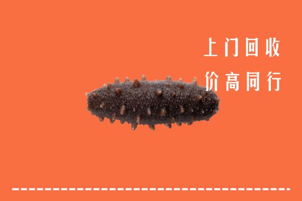 收购行情：淮阳区回收海参